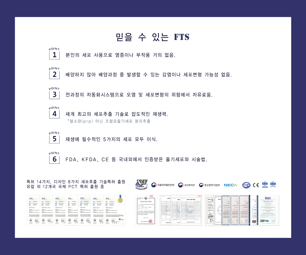 F.T.S.(줄기세포)