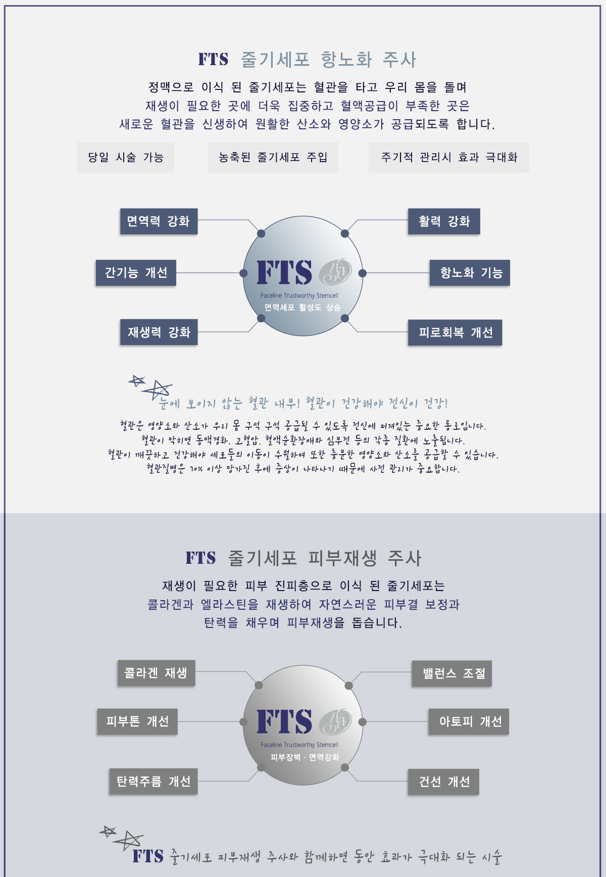 F.T.S.(줄기세포)