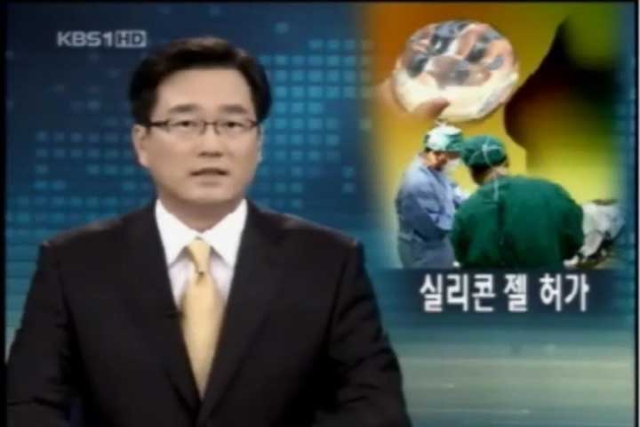 가슴성형 실리콘 보형물 국내 정식 허용