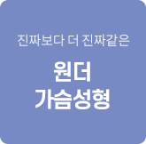 원더가슴성형